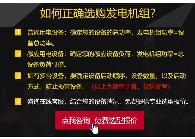 海口康明斯柴油发电机组设备清单一览表